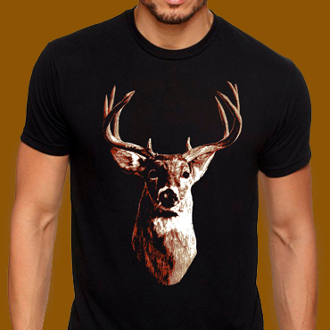 Couleurs de la chasse